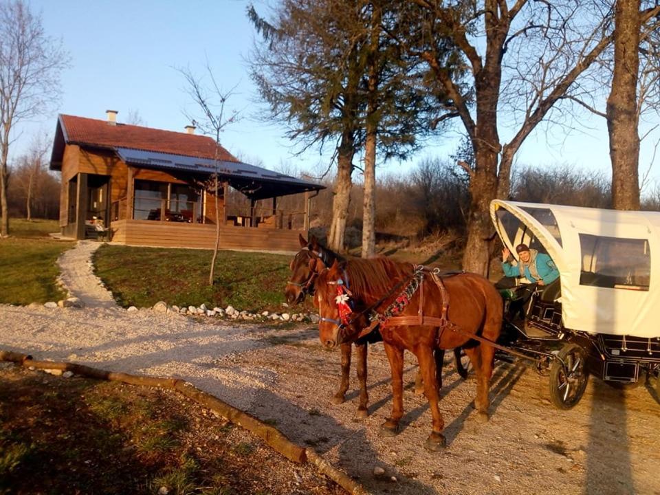 Evergreen House Plitvice Раковица Екстер'єр фото